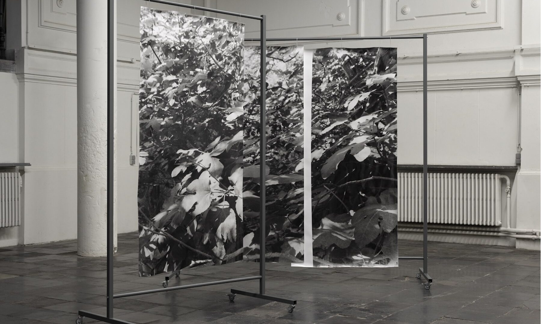 Berit Schneidereit, placement I, Silbergelatineabzüge auf Barytpapier, mobile beschichtete Stahlgestelle, 2022