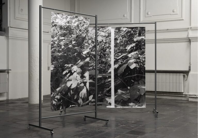 Berit Schneidereit, placement I, Silbergelatineabzüge auf Barytpapier, mobile beschichtete Stahlgestelle, 2022