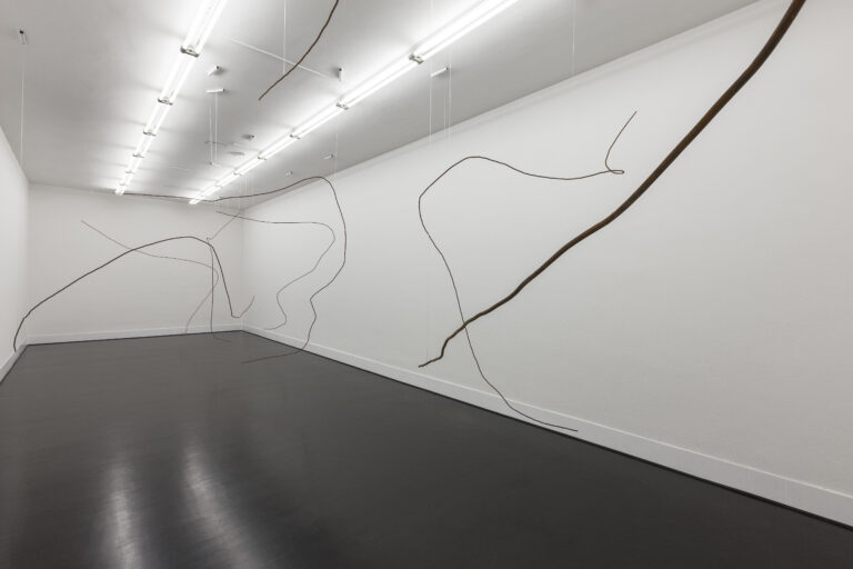 Diango Hernández Hurricanes, 2016 Installationsansicht FL Gallery - SPAZIO 22, Mailand