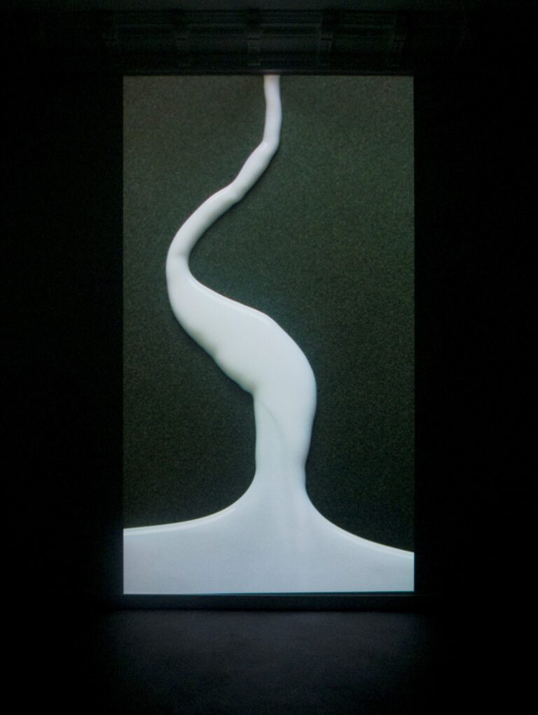 Eric Lanz, Drum, 2013, Videoprojektion im Raum, 1:20 Min., Ausstellungsansicht Künstlerhaus Saarbrücken