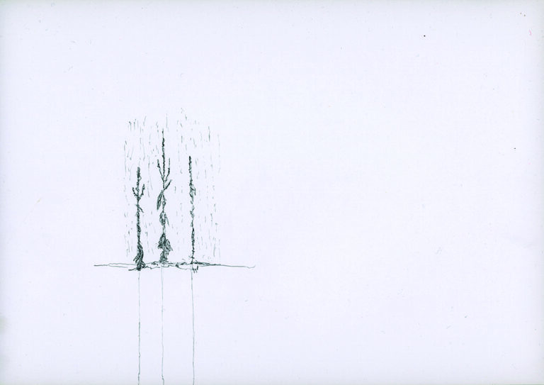 Peter Piller königskerzen im regen (Detail) 2018 Bleistift auf Papier, 21 x 29,7 cm Courtesy Capitain Petzel, Berlin; Galerie Barbara Wien, Berlin