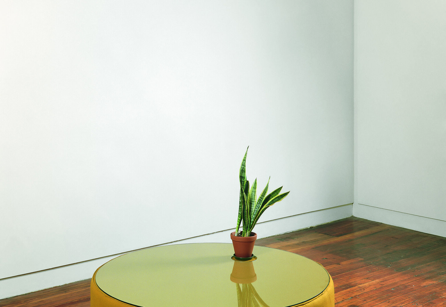 Thomas Grünfeld, ohne Titel, Kakao M, ohne Titel, alle 1988, Installationsansicht Massimo de Carlo, 1988